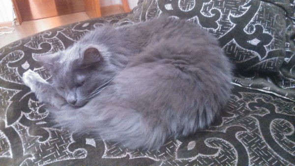 DSC_0017.jpg (1.6 МБ) 7760 просмотров DSC_0017.jpg