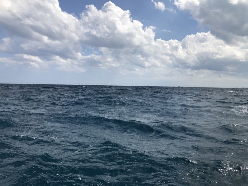 image.jpg (2.71 МБ) 5413 просмотров image.jpg