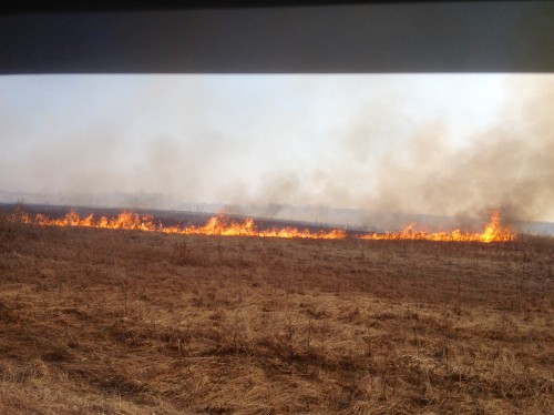 image.jpeg (1.27 МБ) 4771 просмотр image.jpeg